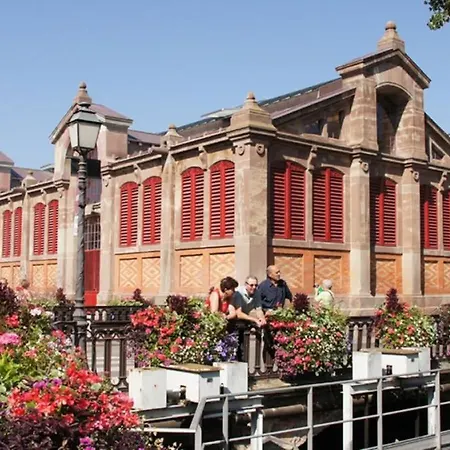 アパート Historic Center - Belle Alsace - 1 Terrasse - Bookingalsace